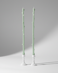 Maison Franc - Bougie Branche vert d'eau