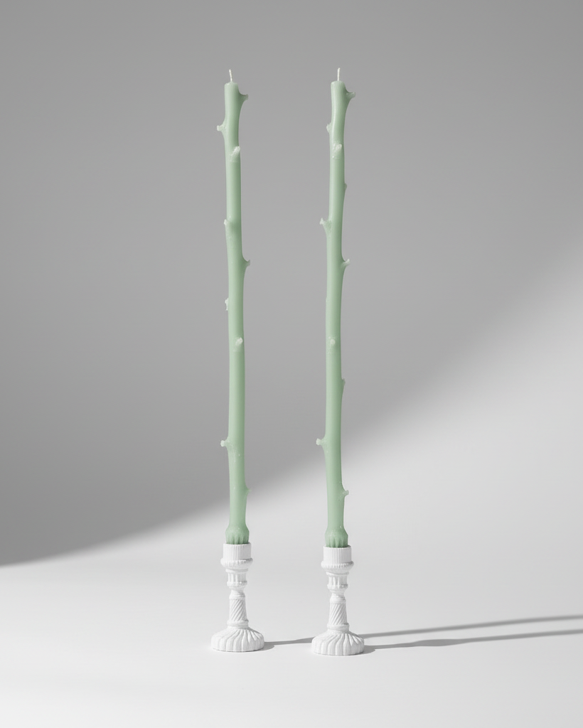 Maison Franc - Bougie Branche vert d'eau