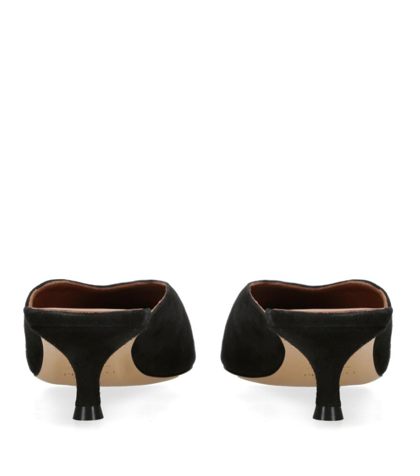 Venitian kitten Le Monde Béryl