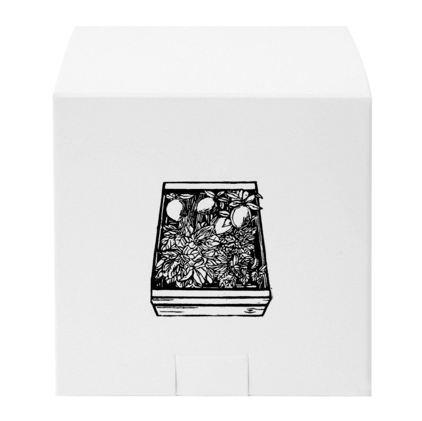 Recharge Bougie Mante-la-jolie Astier de Villatte