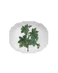 Astier de Villatte - Plat fougère