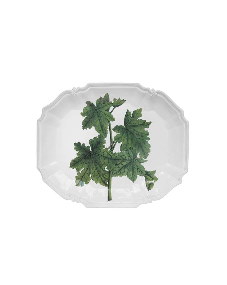 Astier de Villatte - Plat fougère