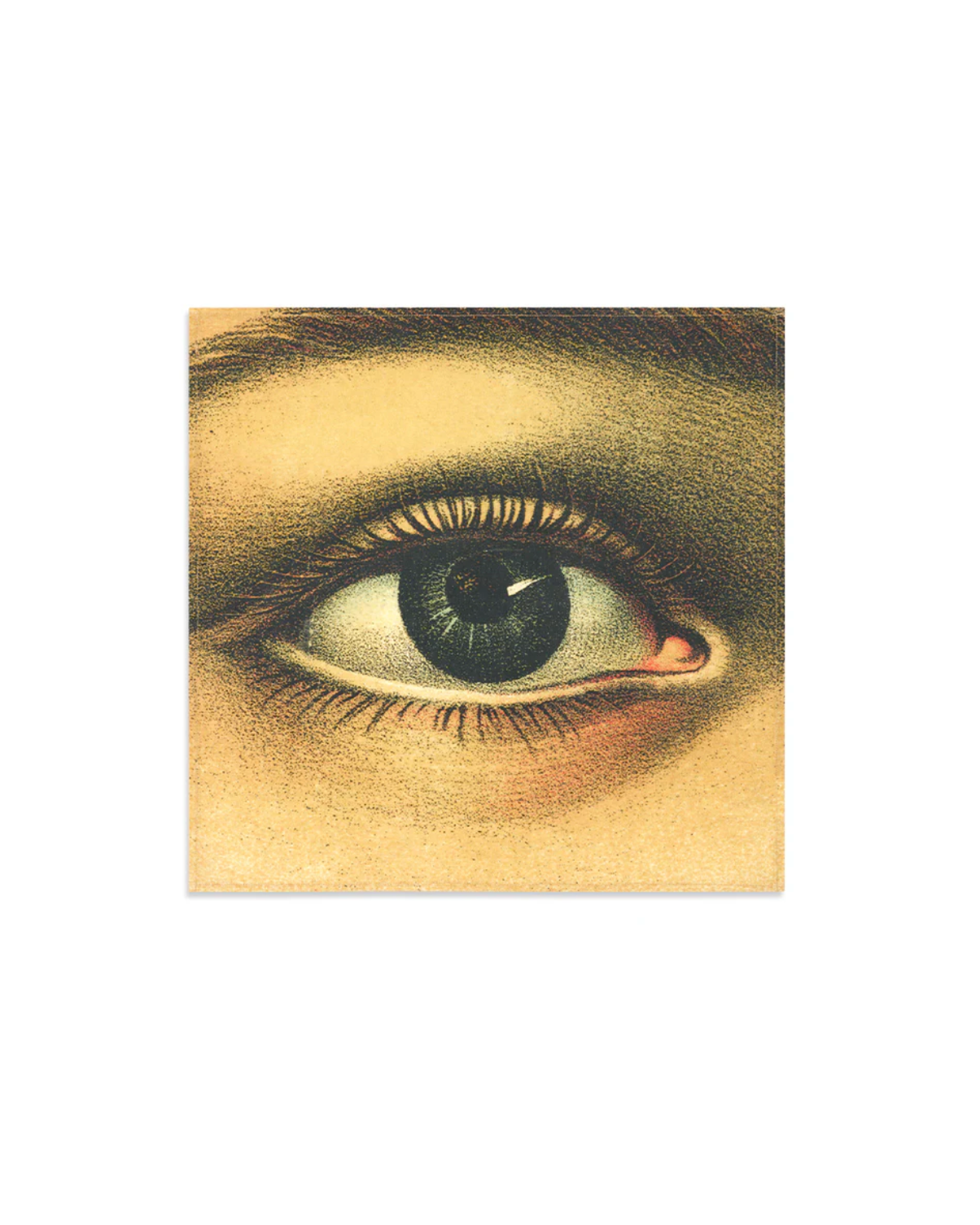Eye napkin Summerill & Bishop x John Derian