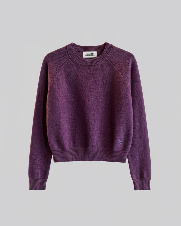 Alexandra Golovanoff –  Sweater Mini Mila cachemere purple