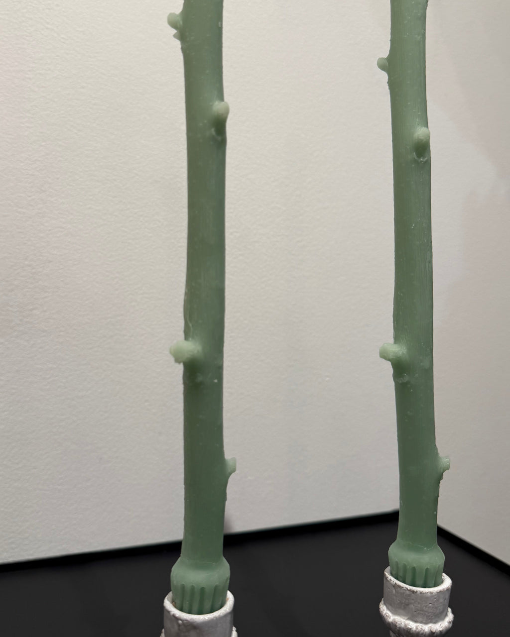 Maison Franc - Bougie Branche vert d'eau