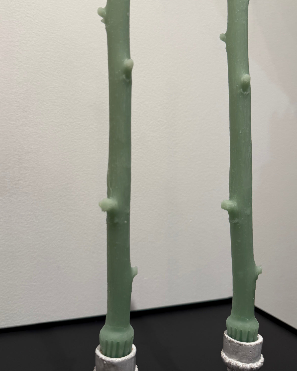 Maison Franc - Bougie Branche vert d'eau