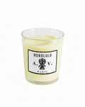 honolulu astier de villatte 